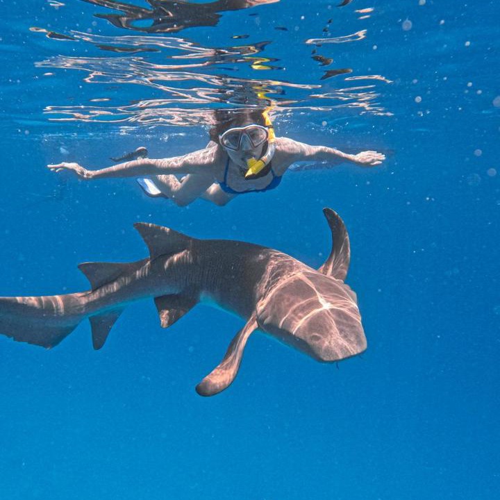 Photo of Others in Maafushi