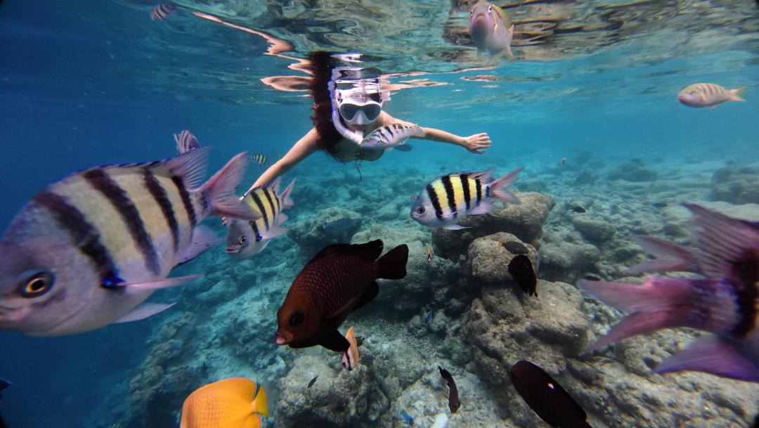 Photo of Others in Maafushi