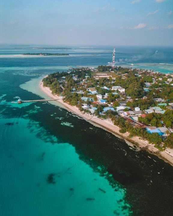 Photo of Others in Dhangethi