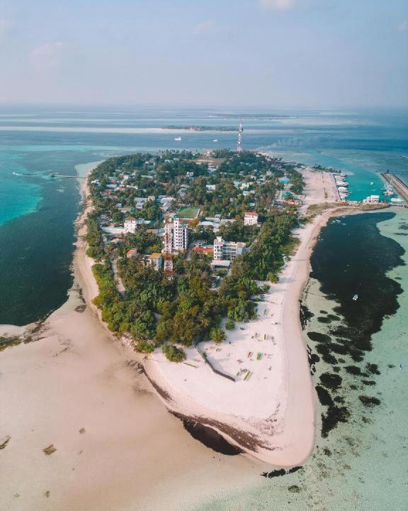 Photo of Others in Dhangethi