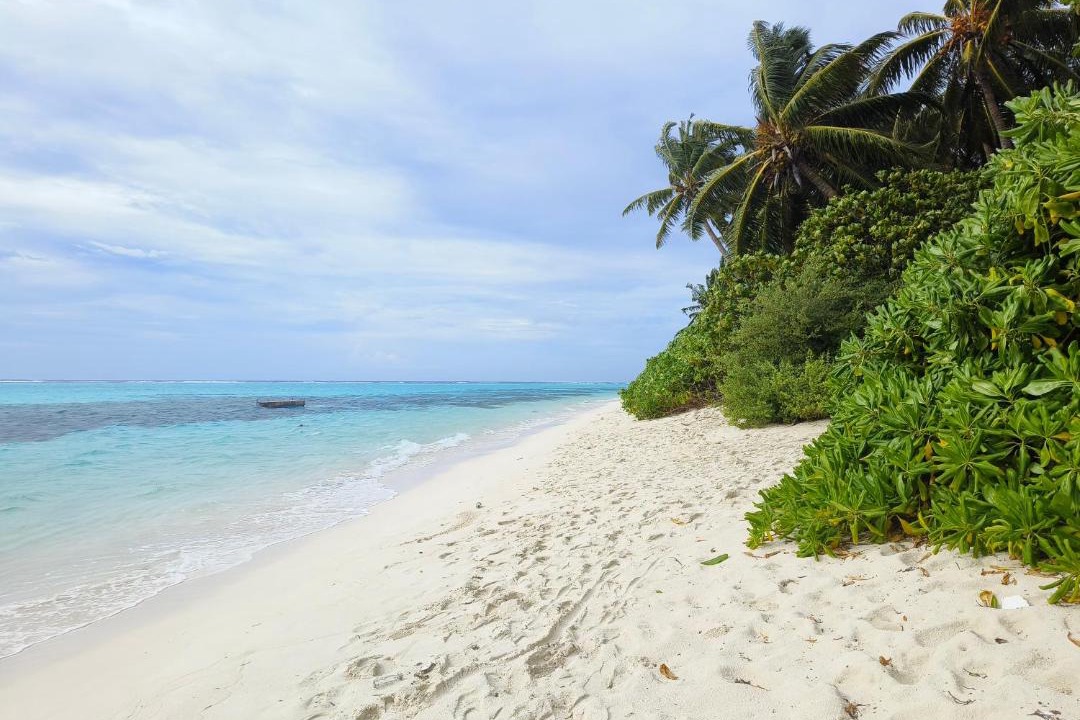 Photo of Others in Thoddoo