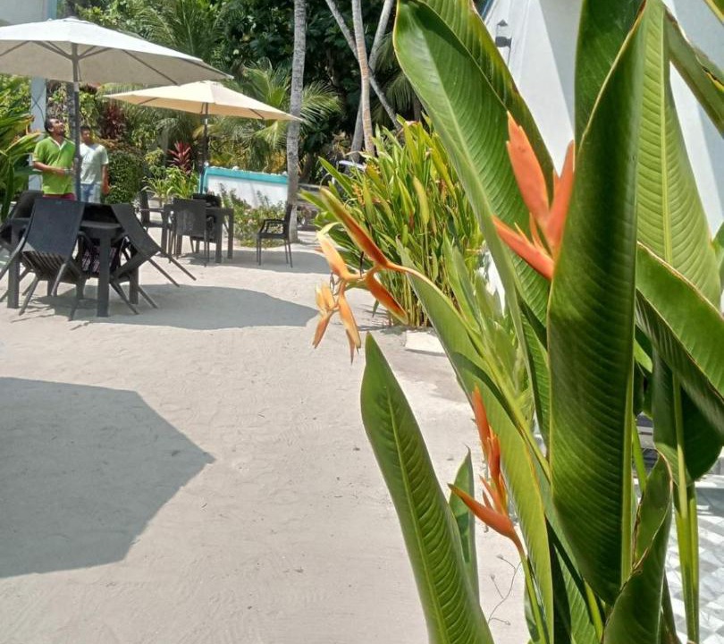 Photo of Others in Fulidhoo