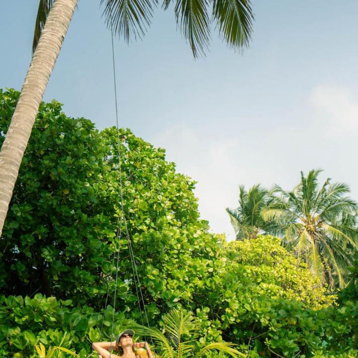 Photo of Others in Thoddoo