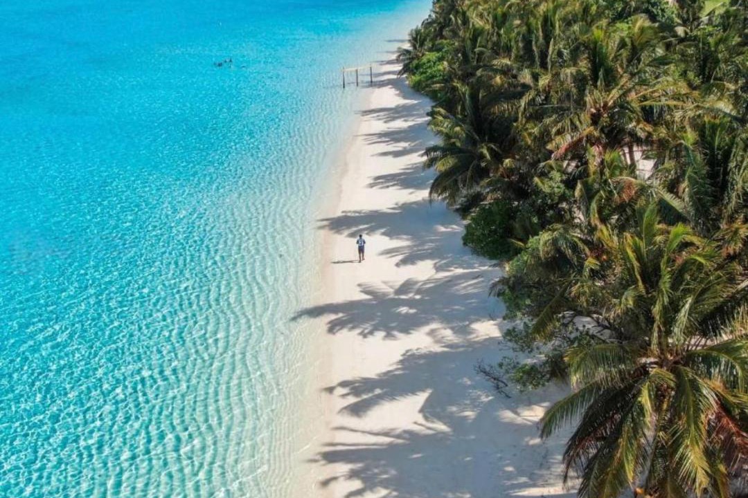 Photo of Others in Thoddoo
