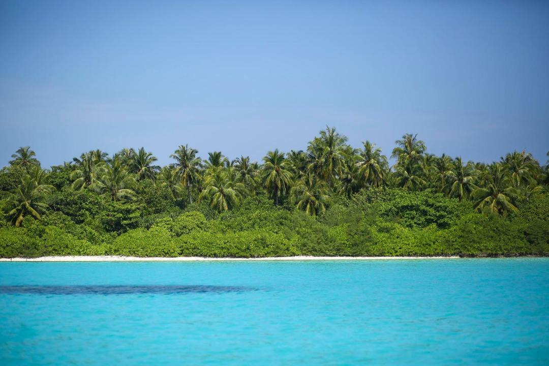 Photo of Others in Haa Alifu Atoll
