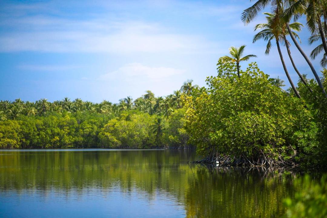 Photo of Others in Haa Alifu Atoll