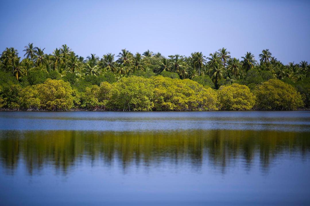 Photo of Others in Haa Alifu Atoll
