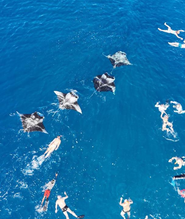 Photo of Others in Thoddoo