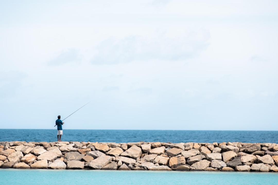 Photo of Others in Baa Atoll