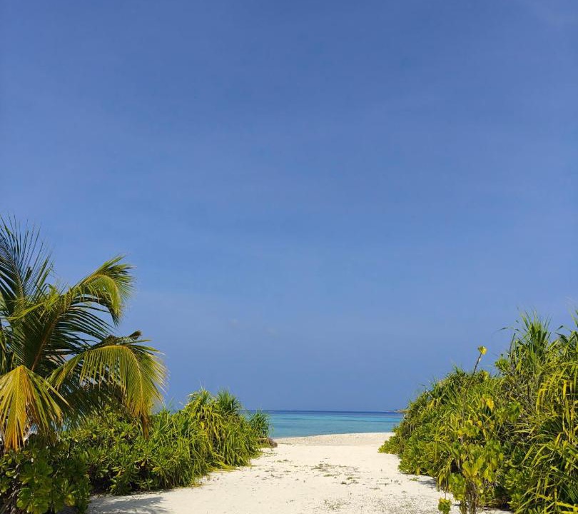 Photo of Others in Mahibadhoo