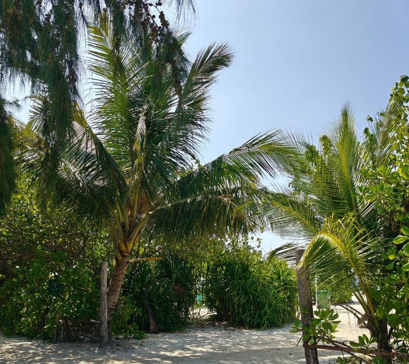 Photo of Others in Mahibadhoo