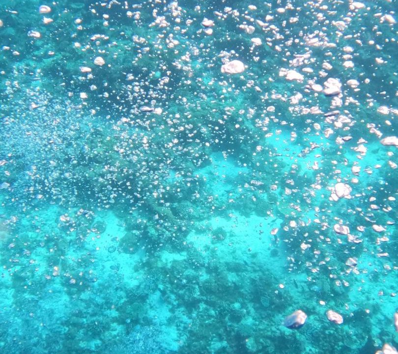 Photo of Others in Mahibadhoo