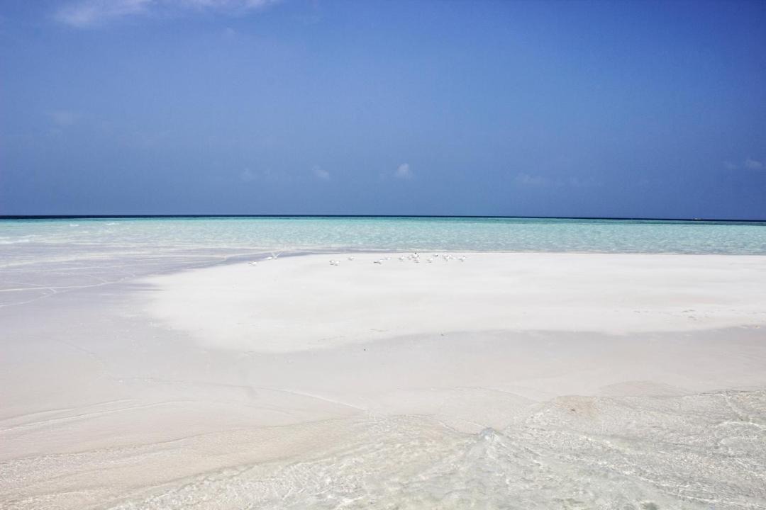 Photo of Others in Thoddoo