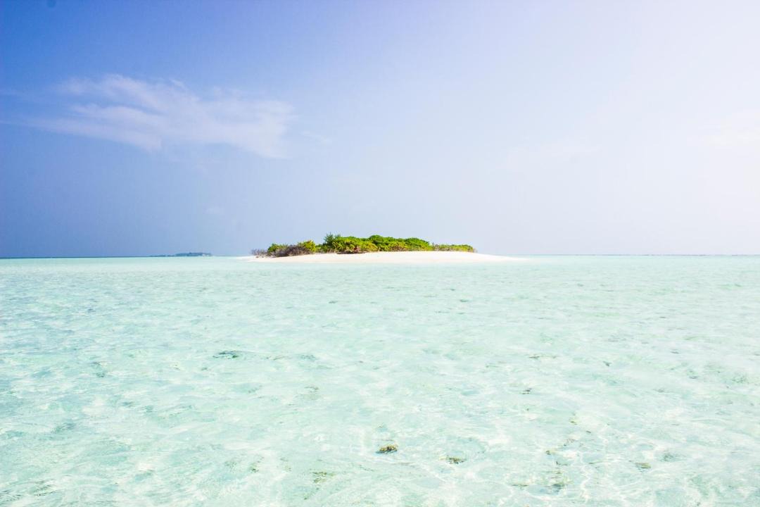 Photo of Others in Thoddoo