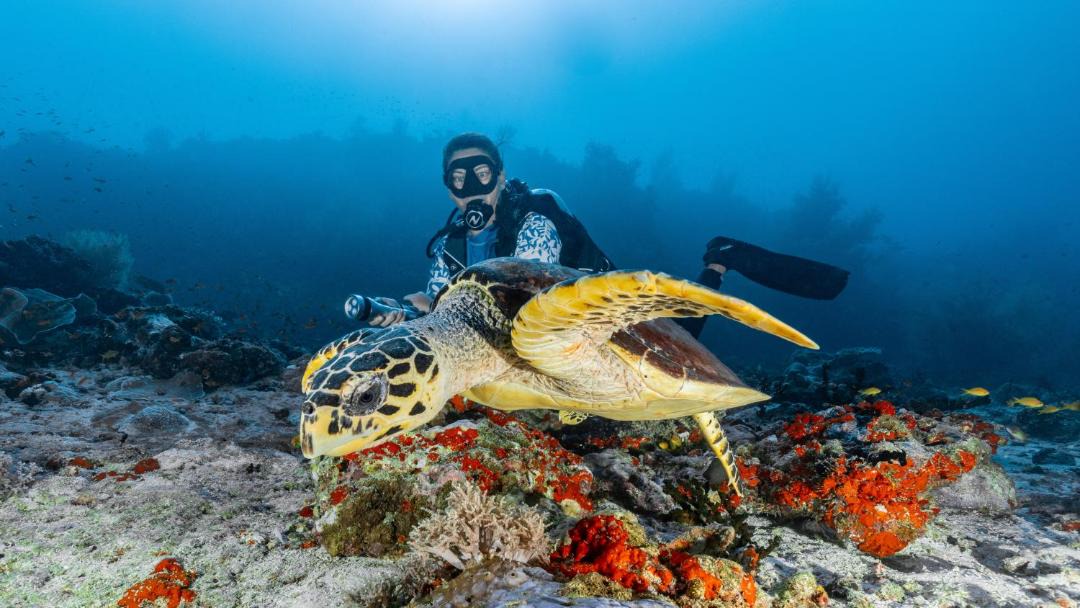 Photo of Others in Mahaanaelhihuraa Island