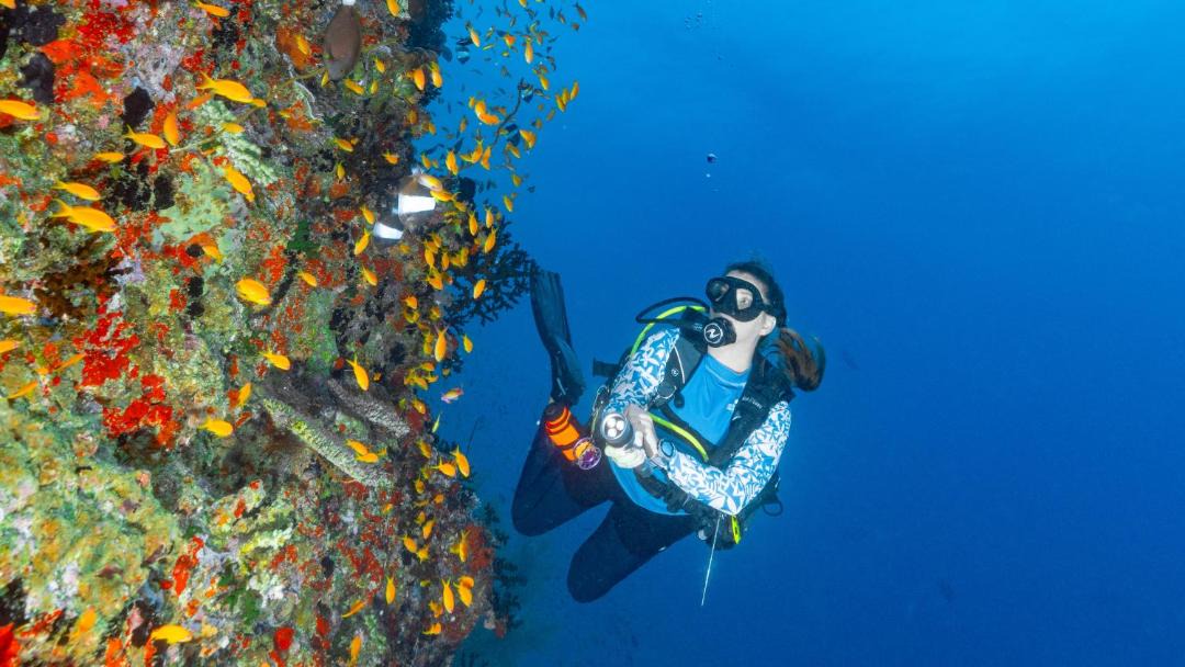 Photo of Others in Mahaanaelhihuraa Island