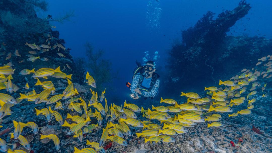 Photo of Others in Mahaanaelhihuraa Island