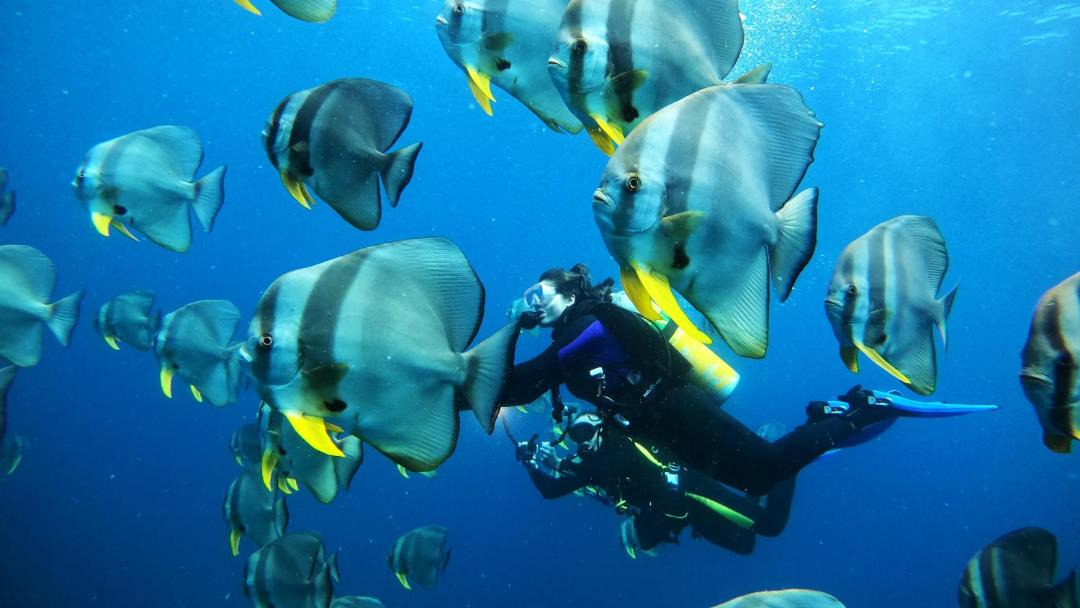 Photo of Others in Mahaanaelhihuraa Island