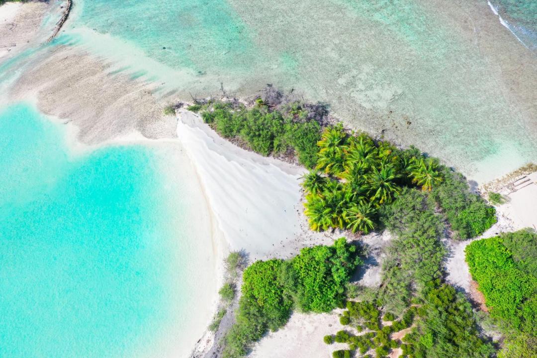 Photo of Others in Milandhoo