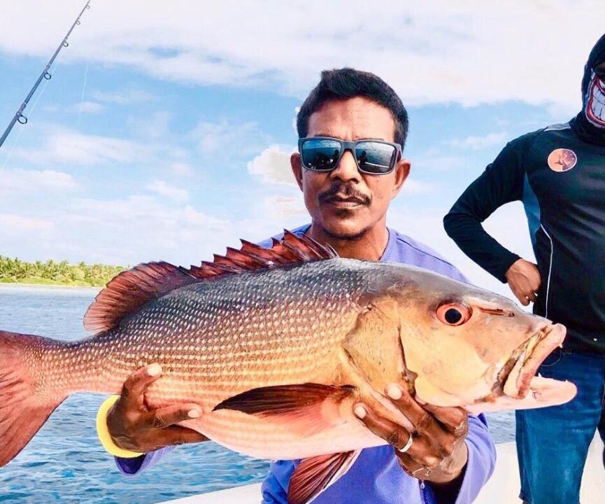 Photo of Others in Thaa Atoll