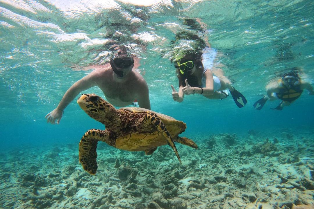 Photo of Others in Maafushi