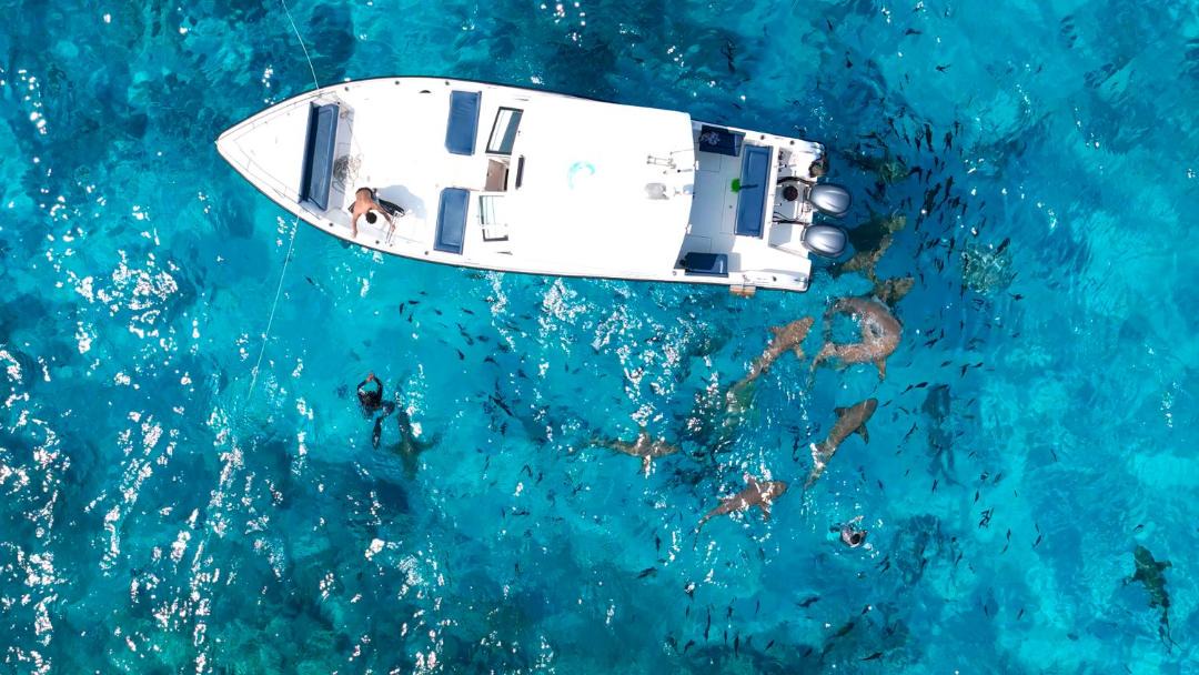 Photo of Others in Guraidhoo