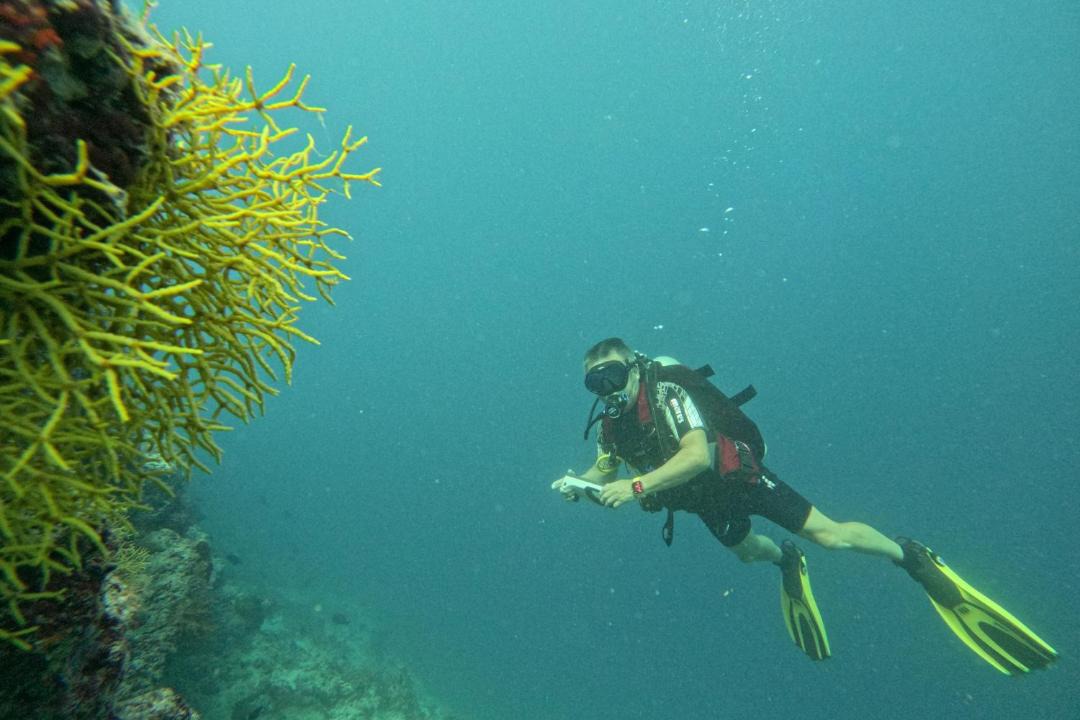 Photo of Others in Fodhdhoo