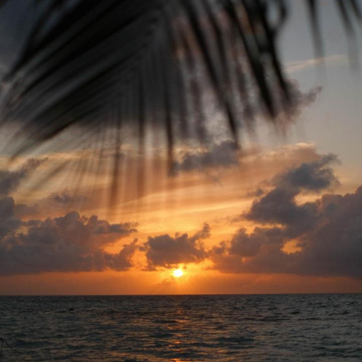 Photo of Others in Dhiffushi