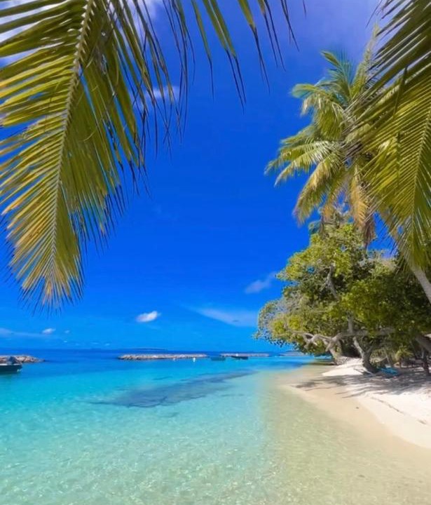 Photo of Others in Kendhoo