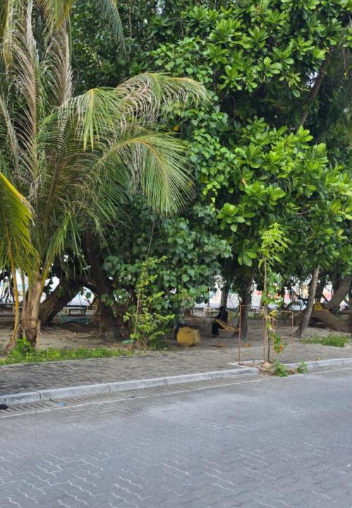 Photo of Others in Vilimale