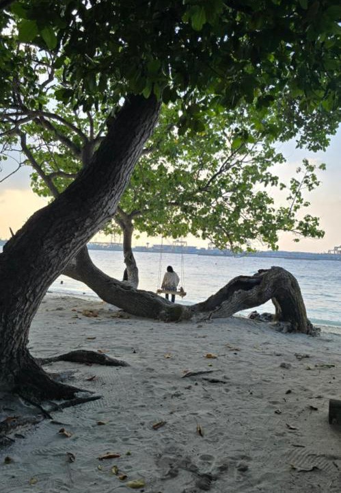 Photo of Others in Vilimale
