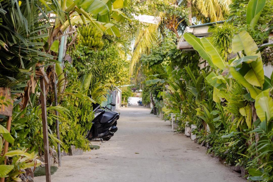 Photo of Others in Dhangethi