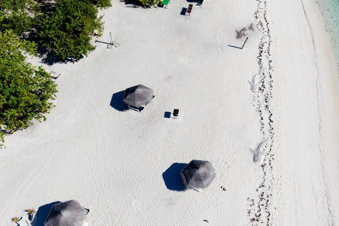 Photo of Others in Dhangethi