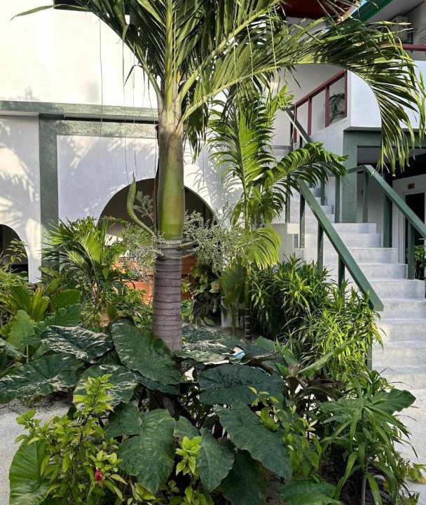 Photo of Others in Thoddoo