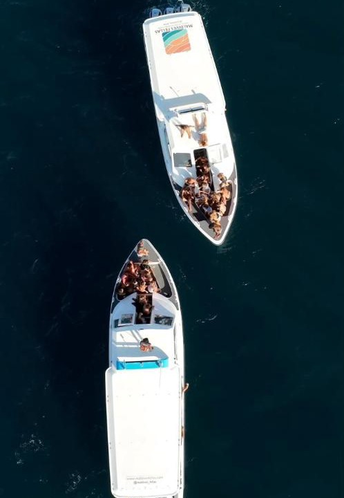 Photo of Others in Maafushi