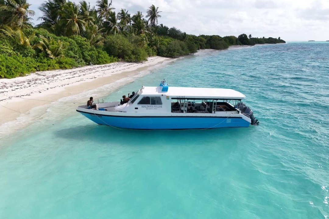 Photo of Others in Maafushi