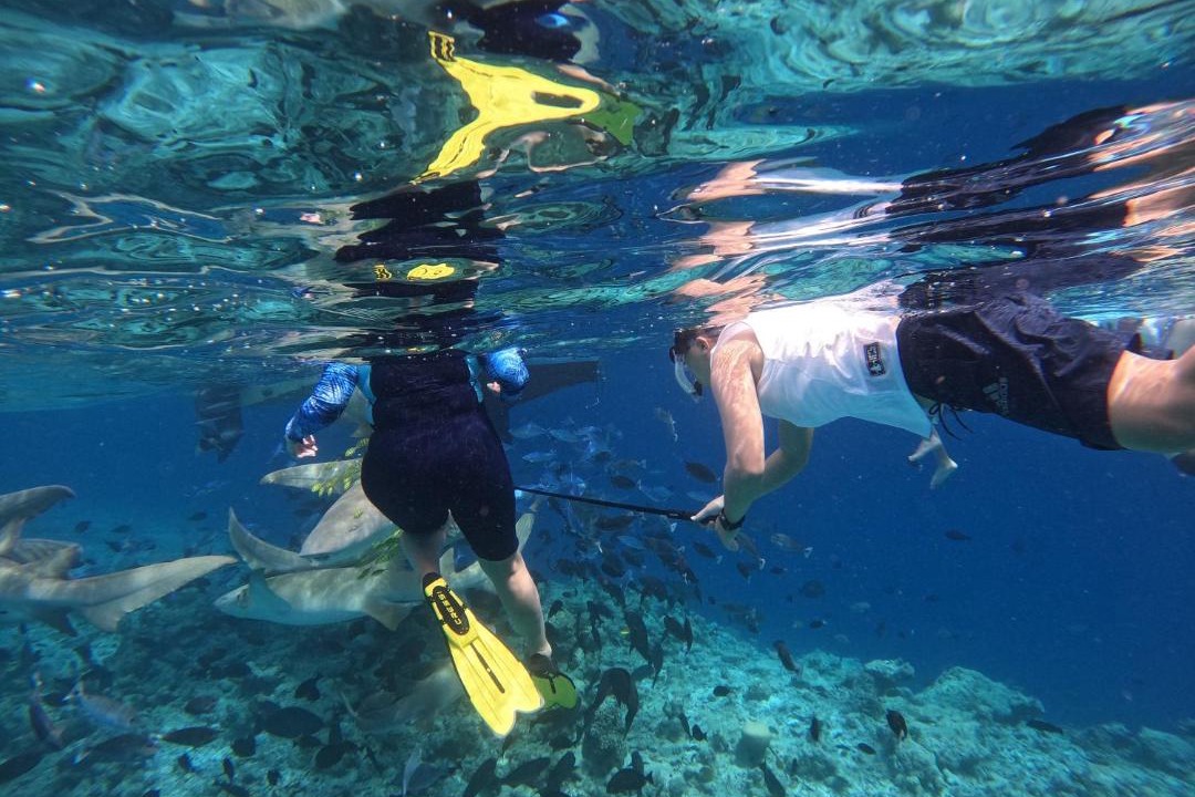 Photo of Others in Bodufolhudhoo