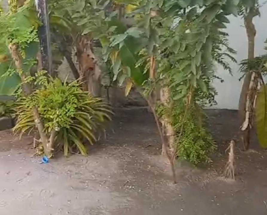 Photo of Others in Holhudhoo