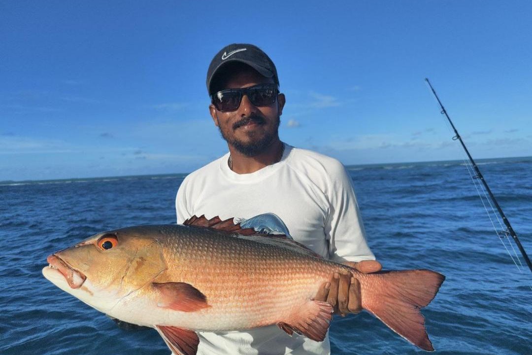 Photo of Others in Gaafu Alifu Atoll
