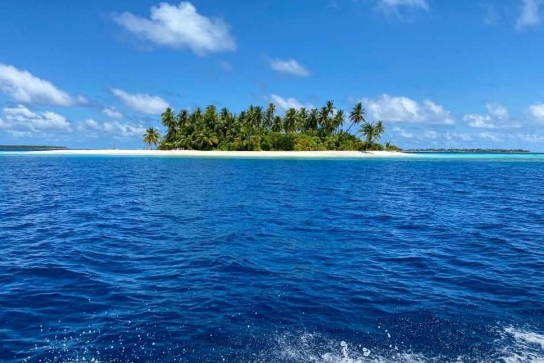 Photo of Others in Gaafu Alifu Atoll