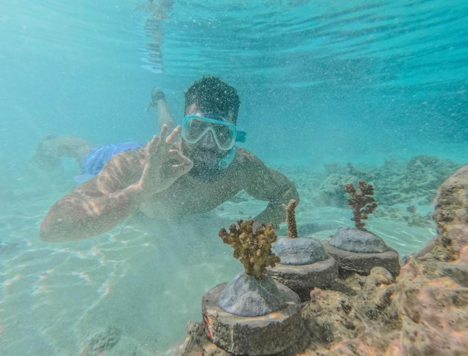 Photo of Others in Athuruga Island