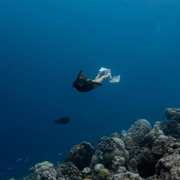 Photo of Others in Maalhos