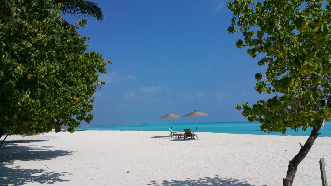 Photo of Others in Fulidhoo