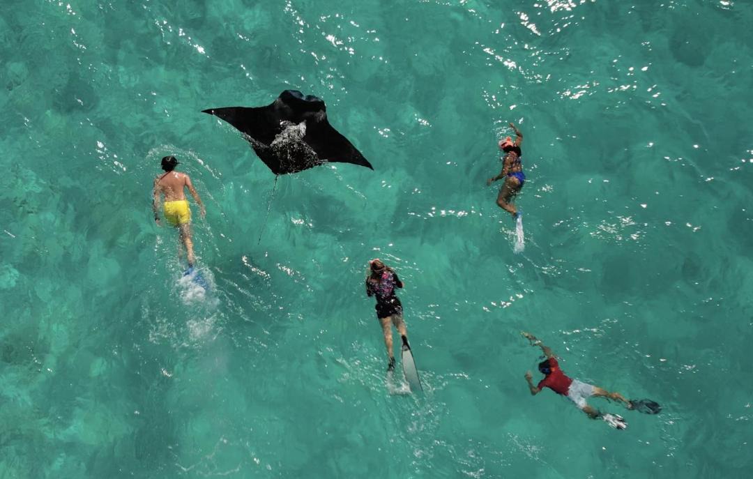 Photo of Human In Picture in Rasdhoo