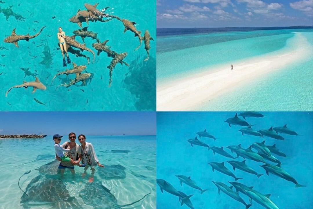 Photo of Others in Maafushi