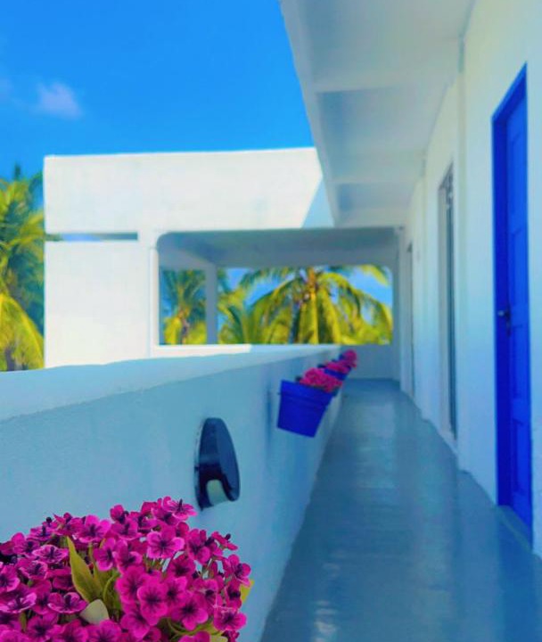 Photo of Others in Maafushi