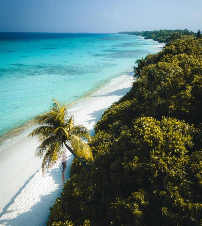Photo of Others in Dhigurah