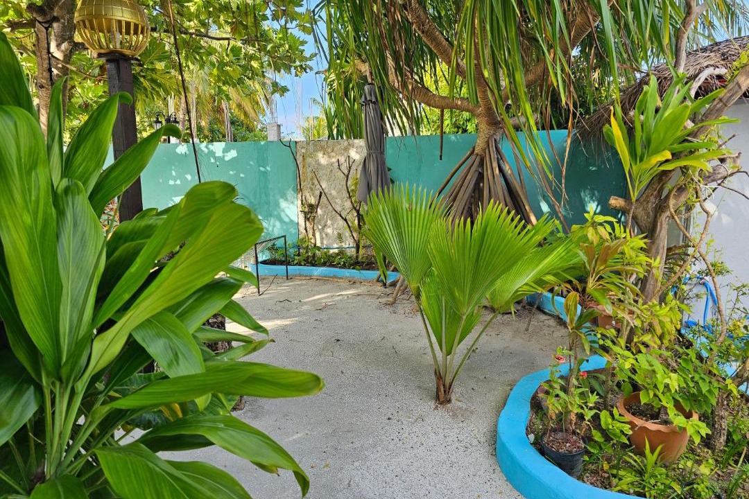Photo of Others in Bodufolhudhoo