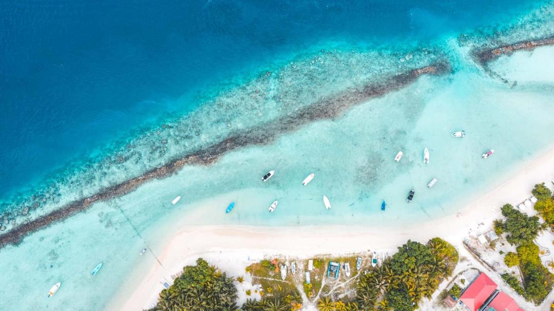 Photo of Others in Thulusdhoo Island