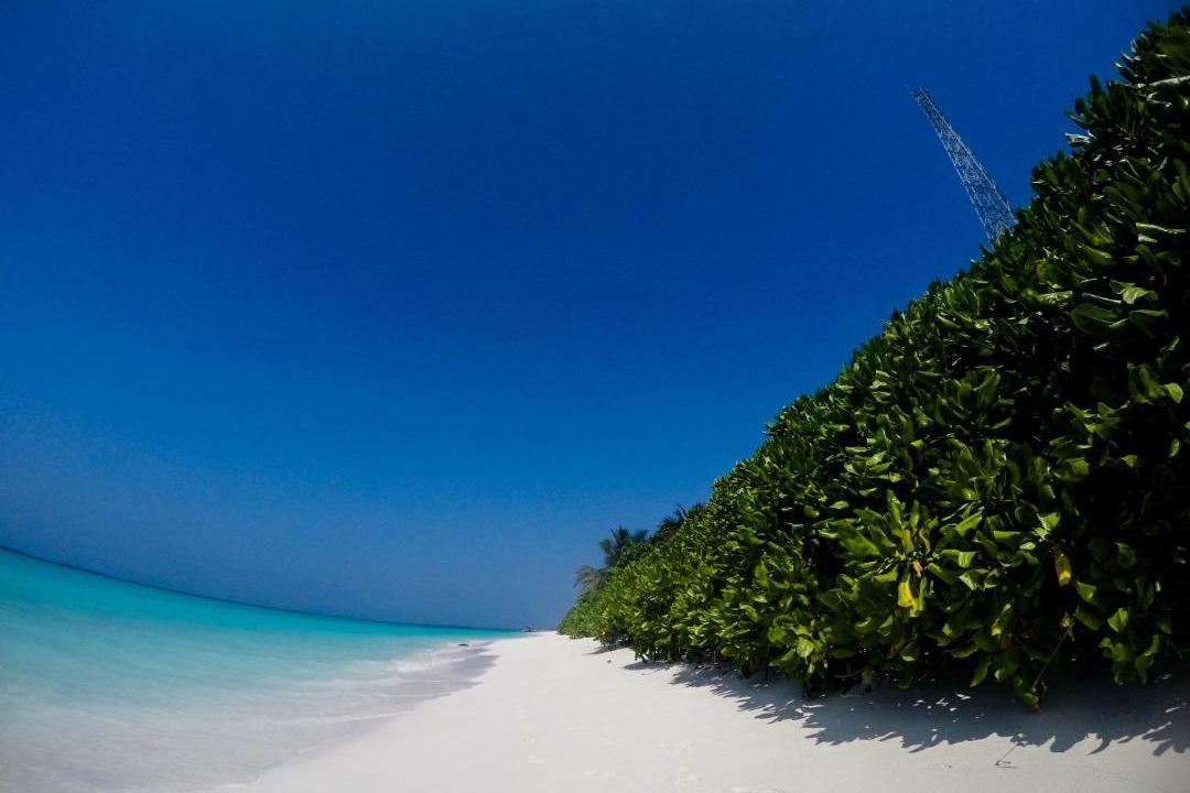 Photo of Others in Hanimaadhoo